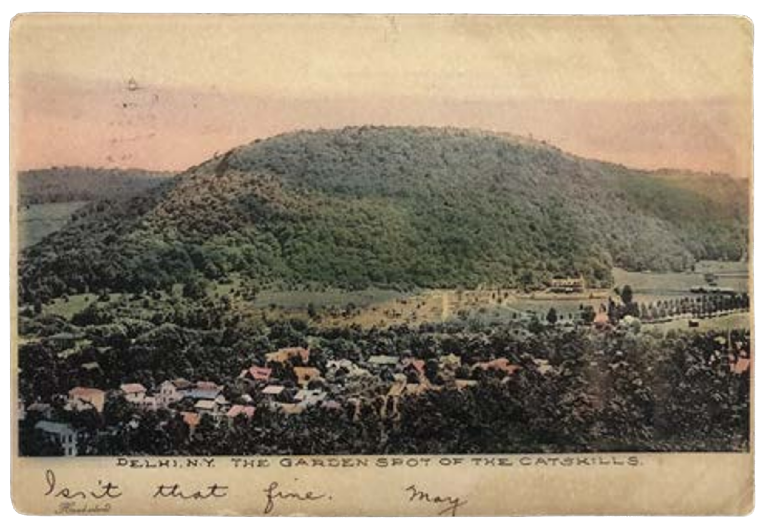 Antique postcard of Delhi, NY, showing mountains above the village Main Street